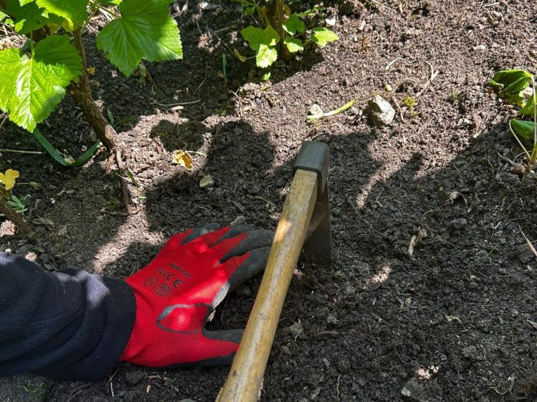 Beet und Unkrautpflege während eines Auftrags in einem Garten in der Region Würzburg durch Gartenservice Heidrich
