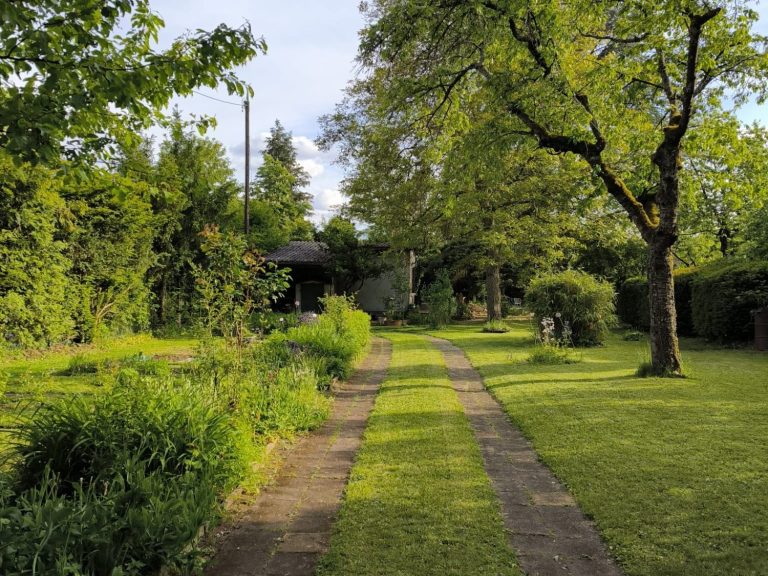 Rasenmähservice im Raum Würzburg. Endergebnis einer Arbeit von Gartenservice Heidrich.
