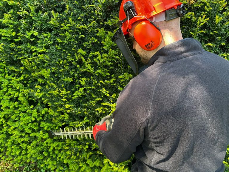 Heckenschnitt durch den Inhaber des Gartenservice Heidrich aus Würzburg
